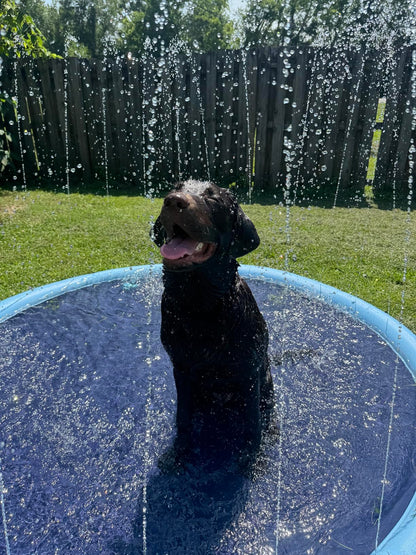 SplashPaw™ Fun Zone - The Splash Pad Makes Your Pup and Kids Happy!