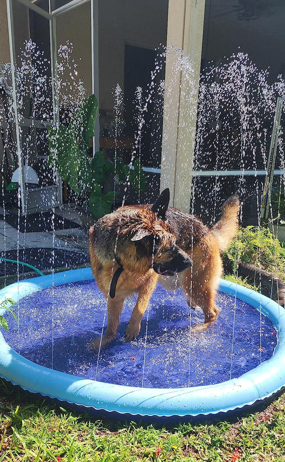 SplashPaw™ Fun Zone - The Splash Pad Makes Your Pup and Kids Happy!