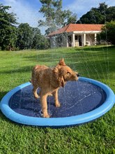 SplashPaw™ Fun Zone - The Splash Pad Makes Your Pup and Kids Happy!