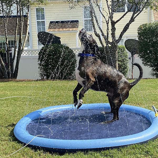 SplashPaw™ Fun Zone - The Splash Pad Makes Your Pup and Kids Happy!