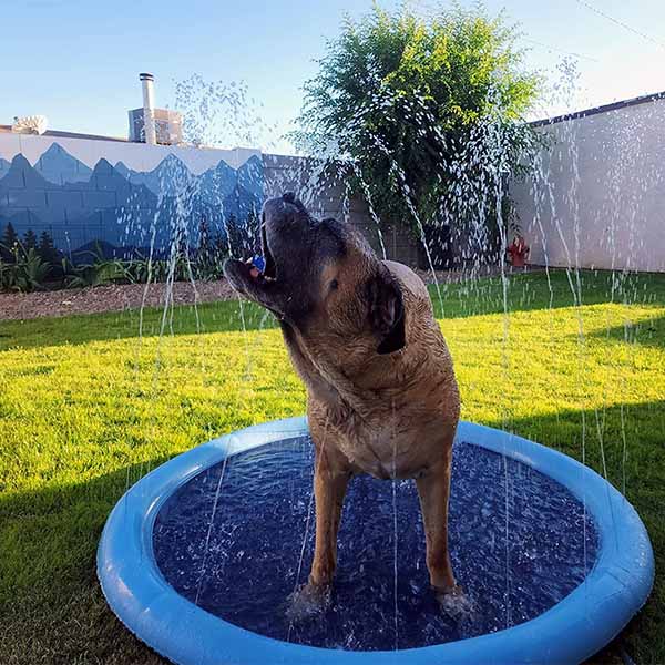 SplashPaw™ Fun Zone - The Splash Pad Makes Your Pup and Kids Happy!